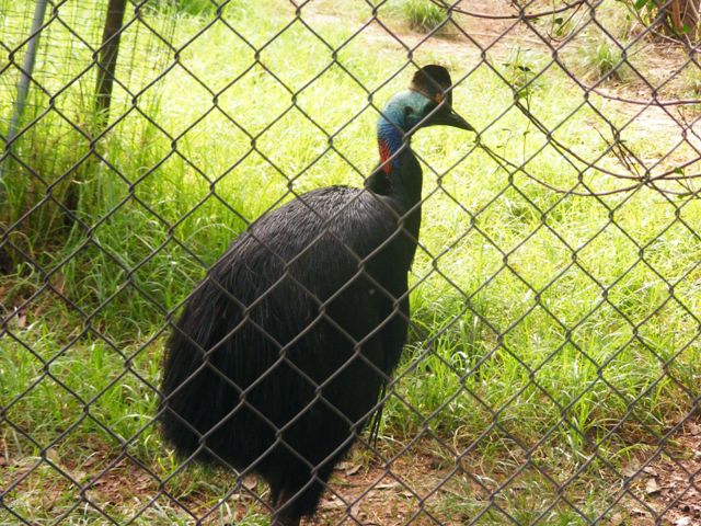 Safari Zoological Center 30.1.10
