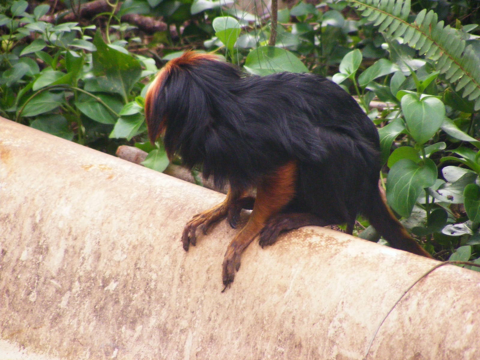 Safari Zoological Center 30.1.10