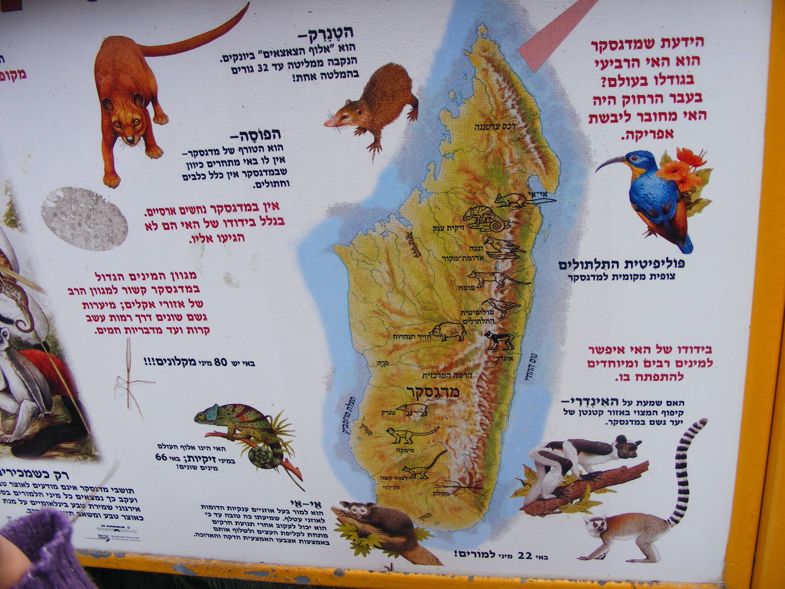 Safari Zoological Center 30.1.10