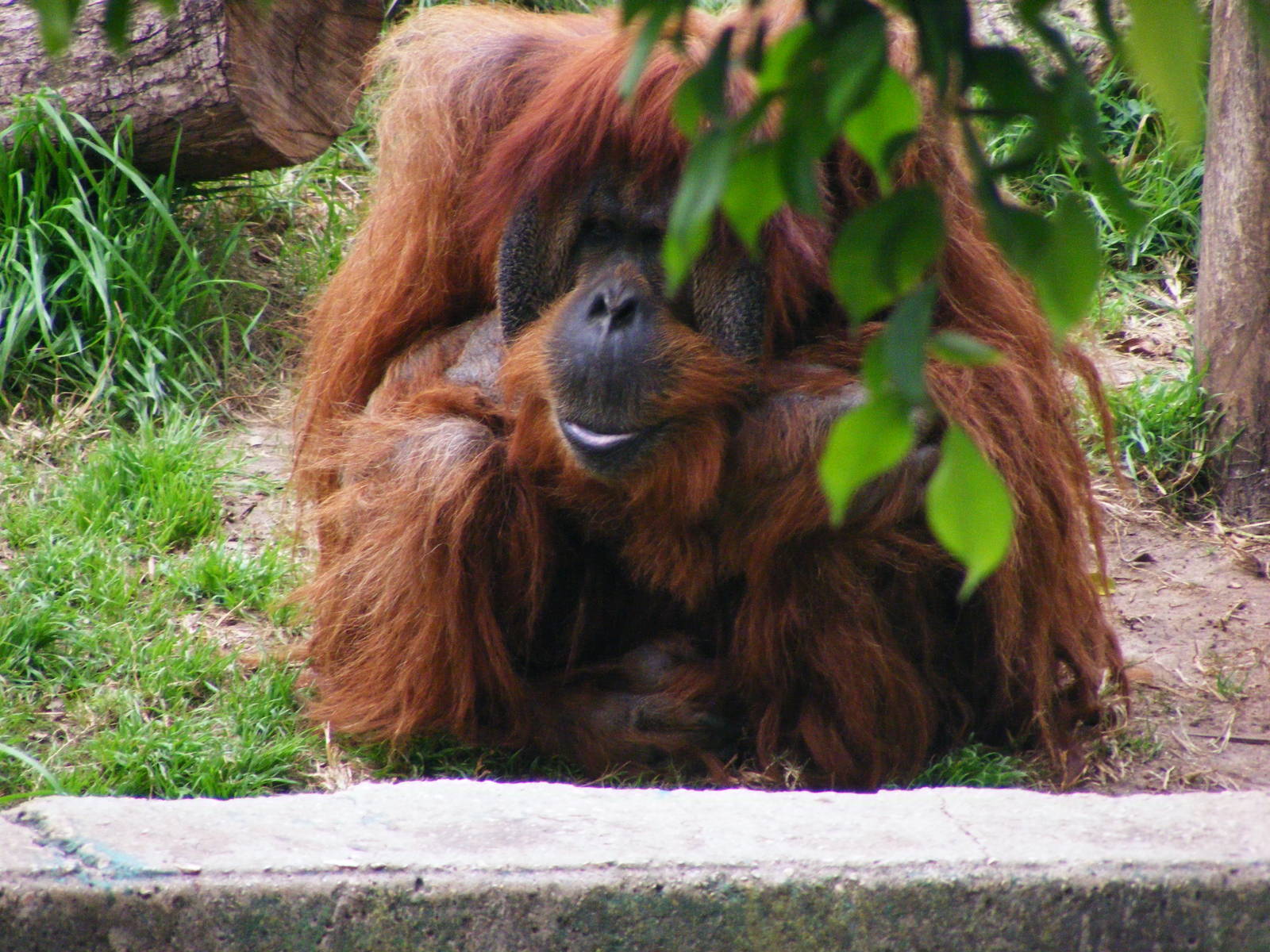 Safari Zoological Center 30.1.10