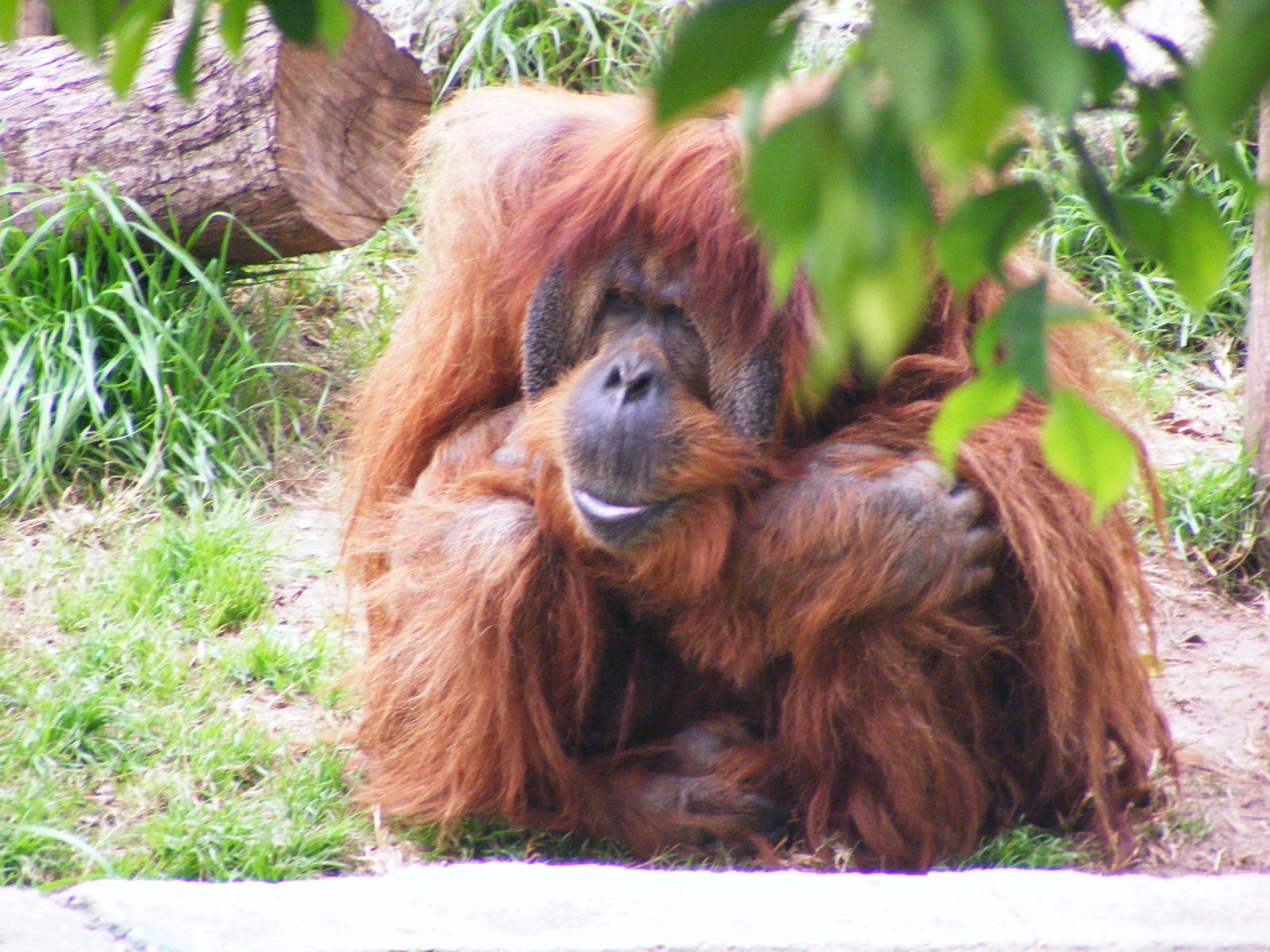 Safari Zoological Center 30.1.10