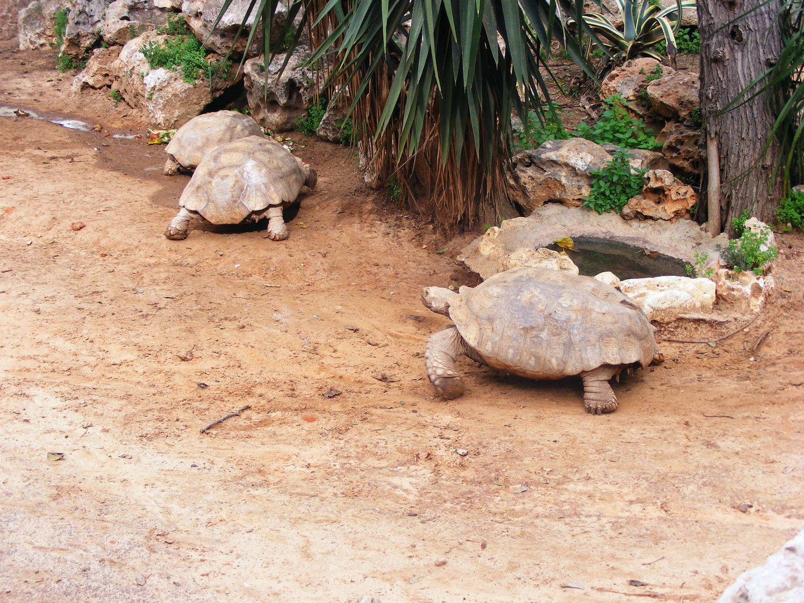 Safari Zoological Center 30.1.10