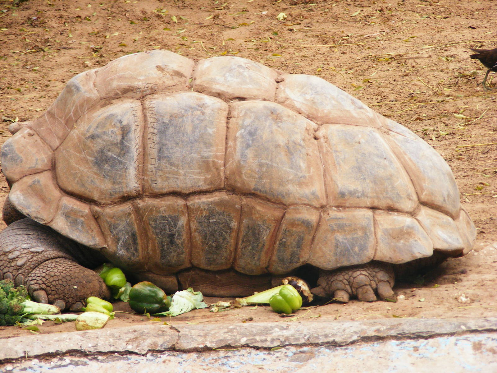 Safari Zoological Center 30.1.10