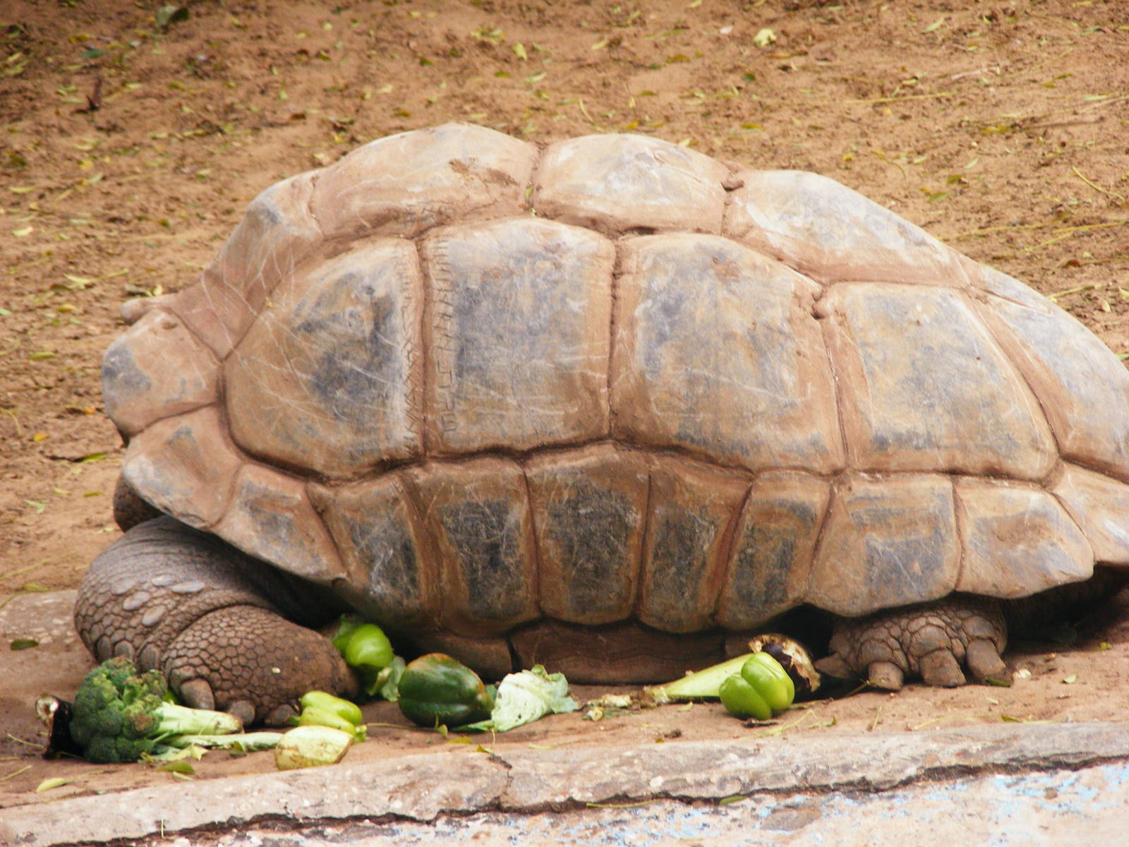Safari Zoological Center 30.1.10