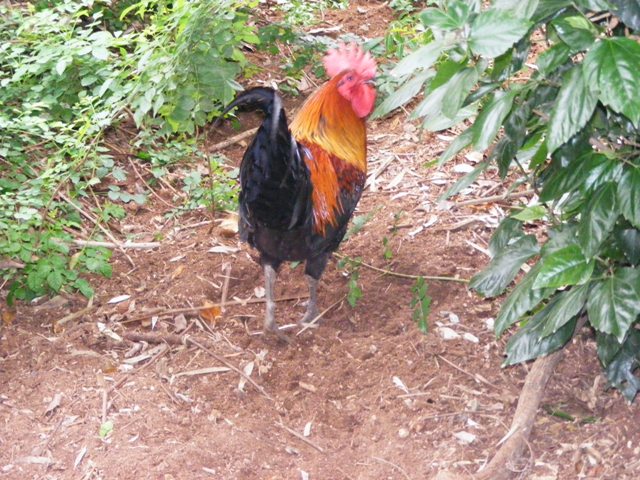 Safari Zoological Center 30.1.10
