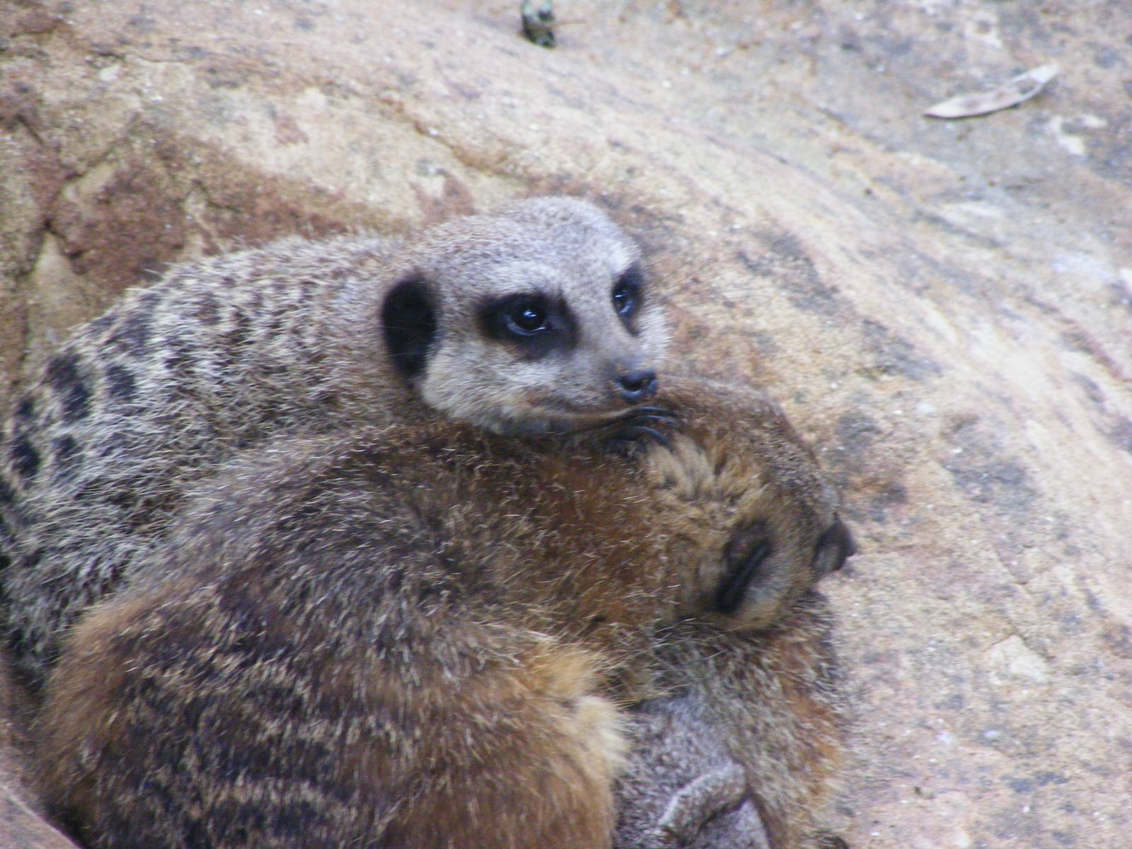 Safari Zoological Center 30.1.10