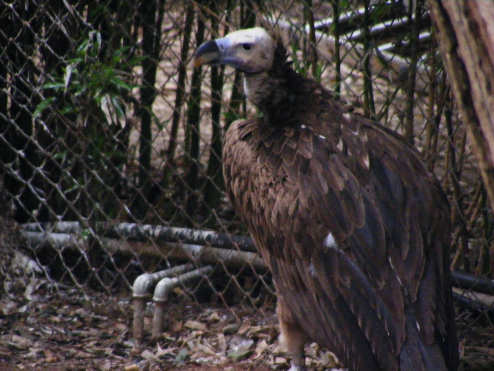 Safari Zoological Center 30.1.10