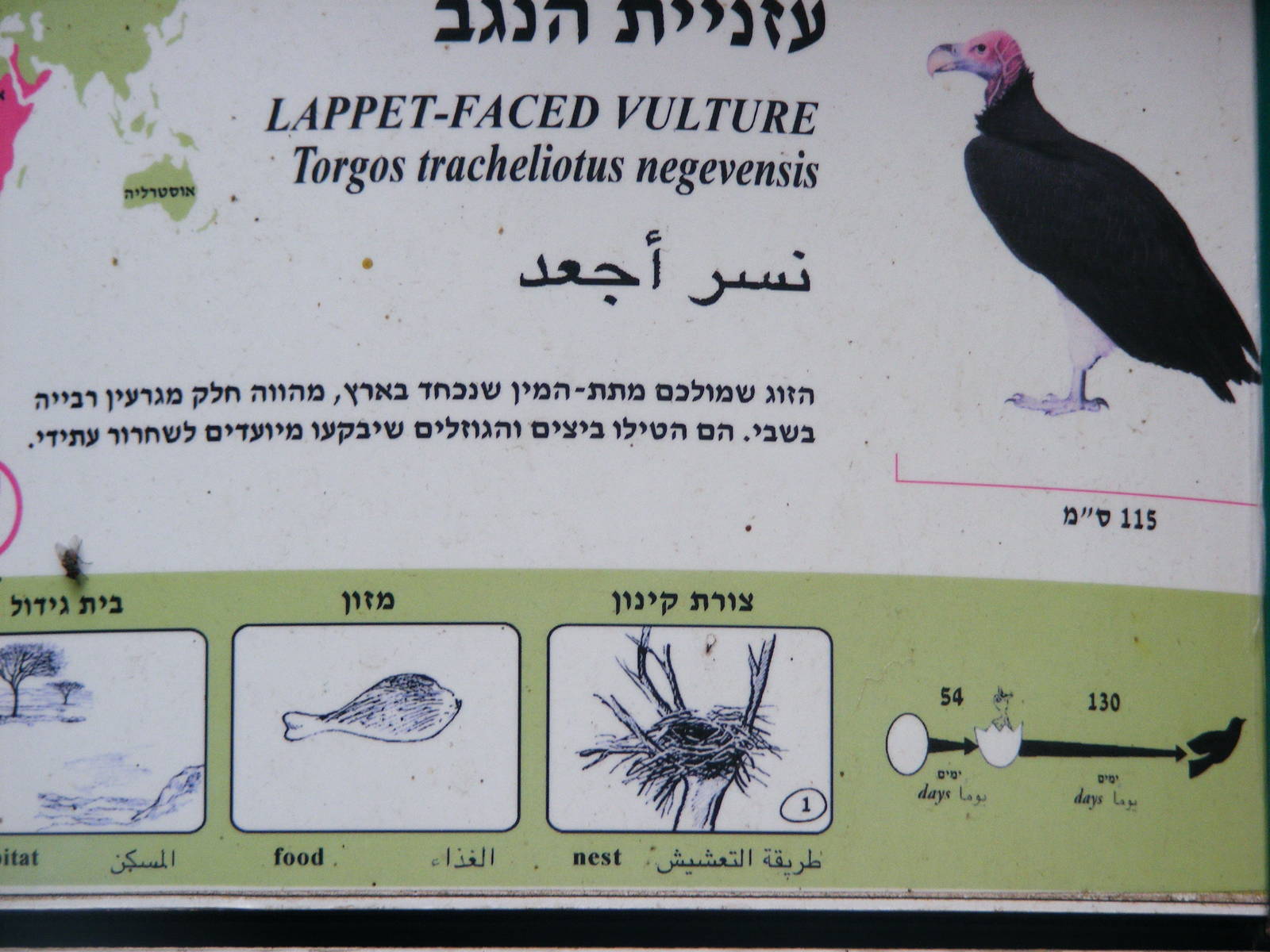 Safari Zoological Center 30.1.10