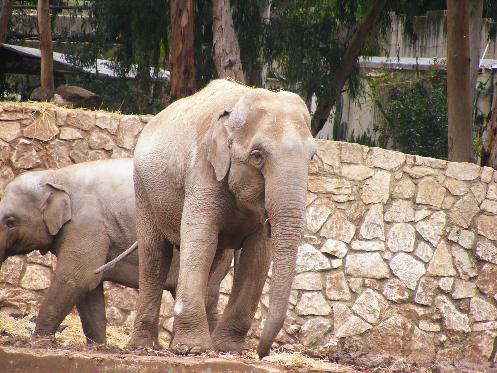 Safari Zoological Center 30.1.10