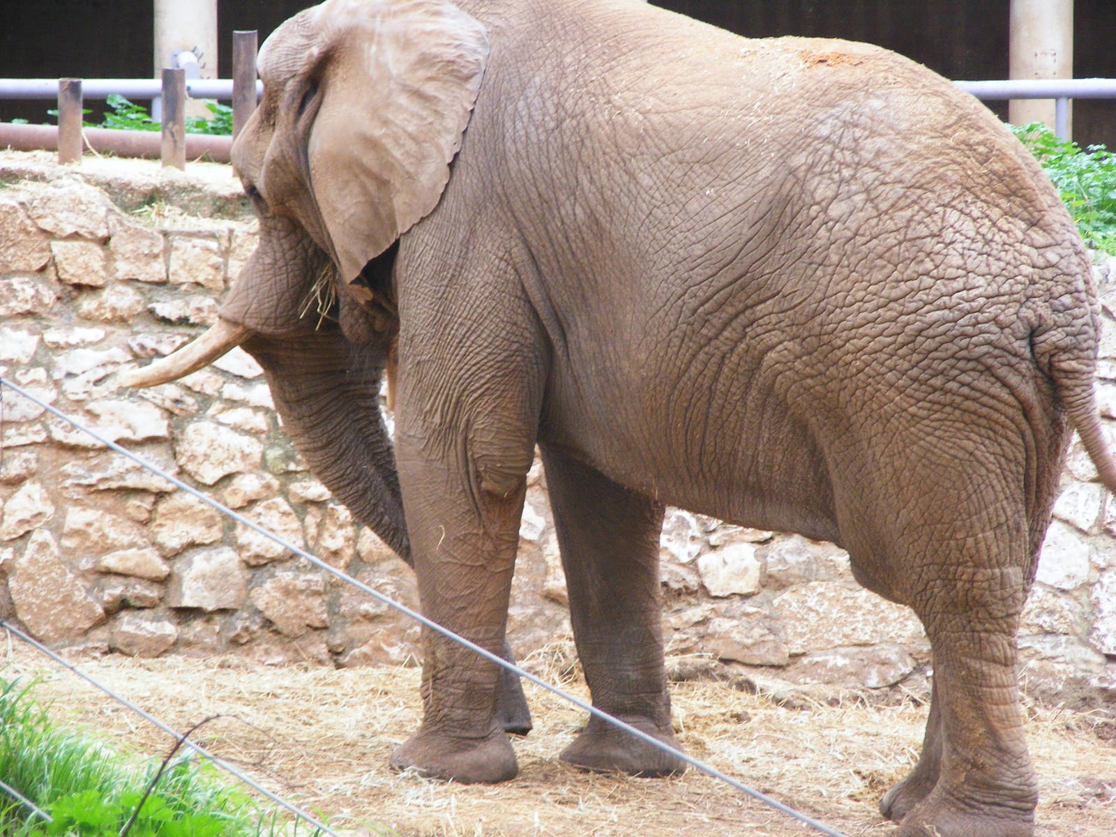 Safari Zoological Center 30.1.10