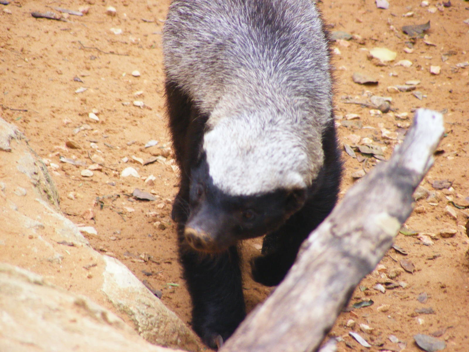 Safari Zoological Center 30.1.10