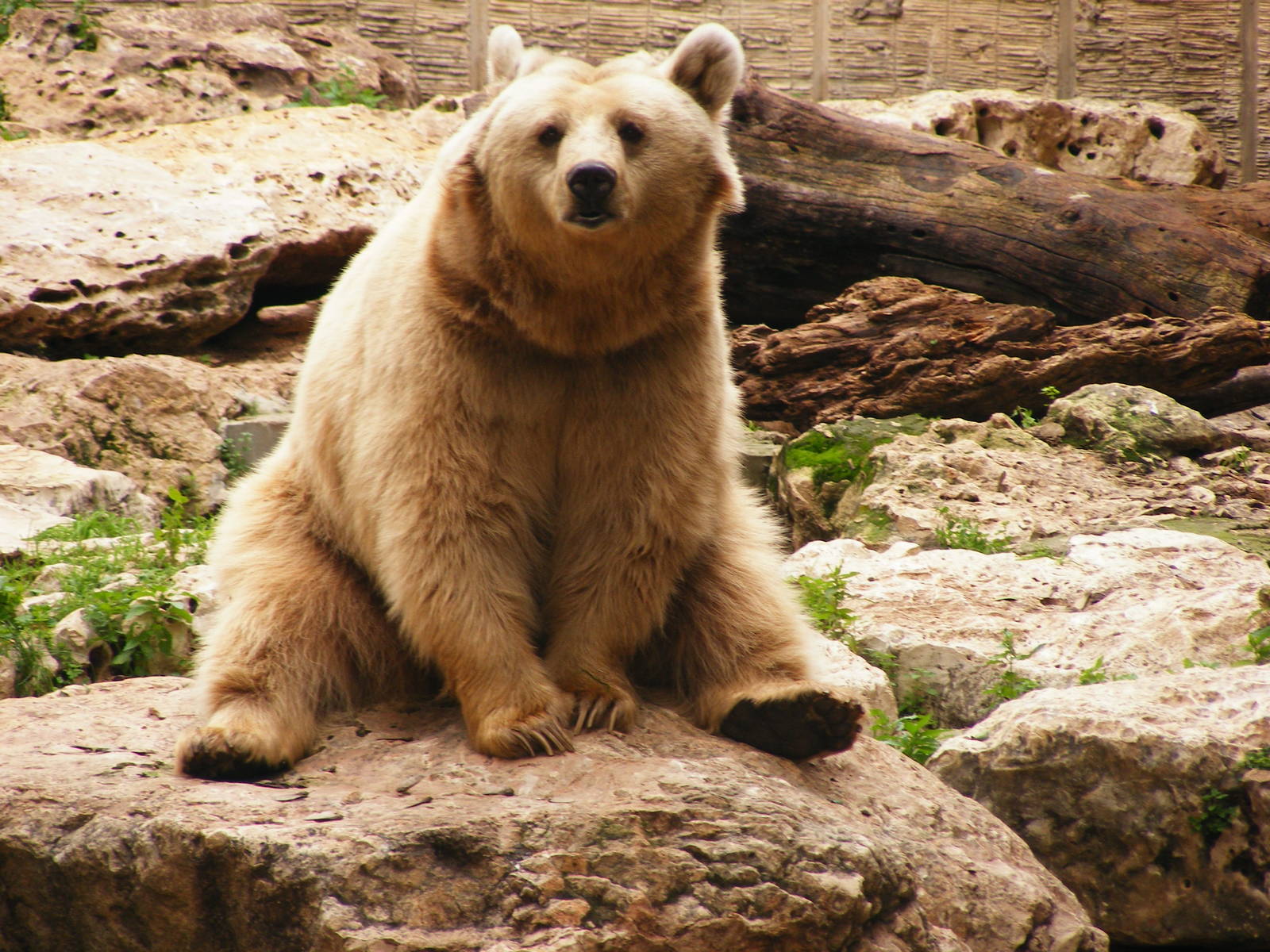 Safari Zoological Center 30.1.10