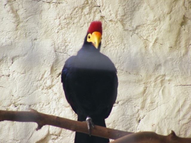 Safari Zoological Center 30.1.10