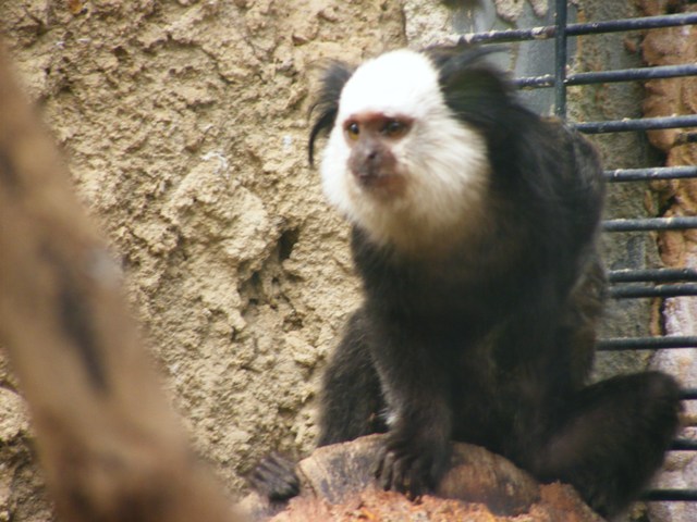 Safari Zoological Center 30.1.10