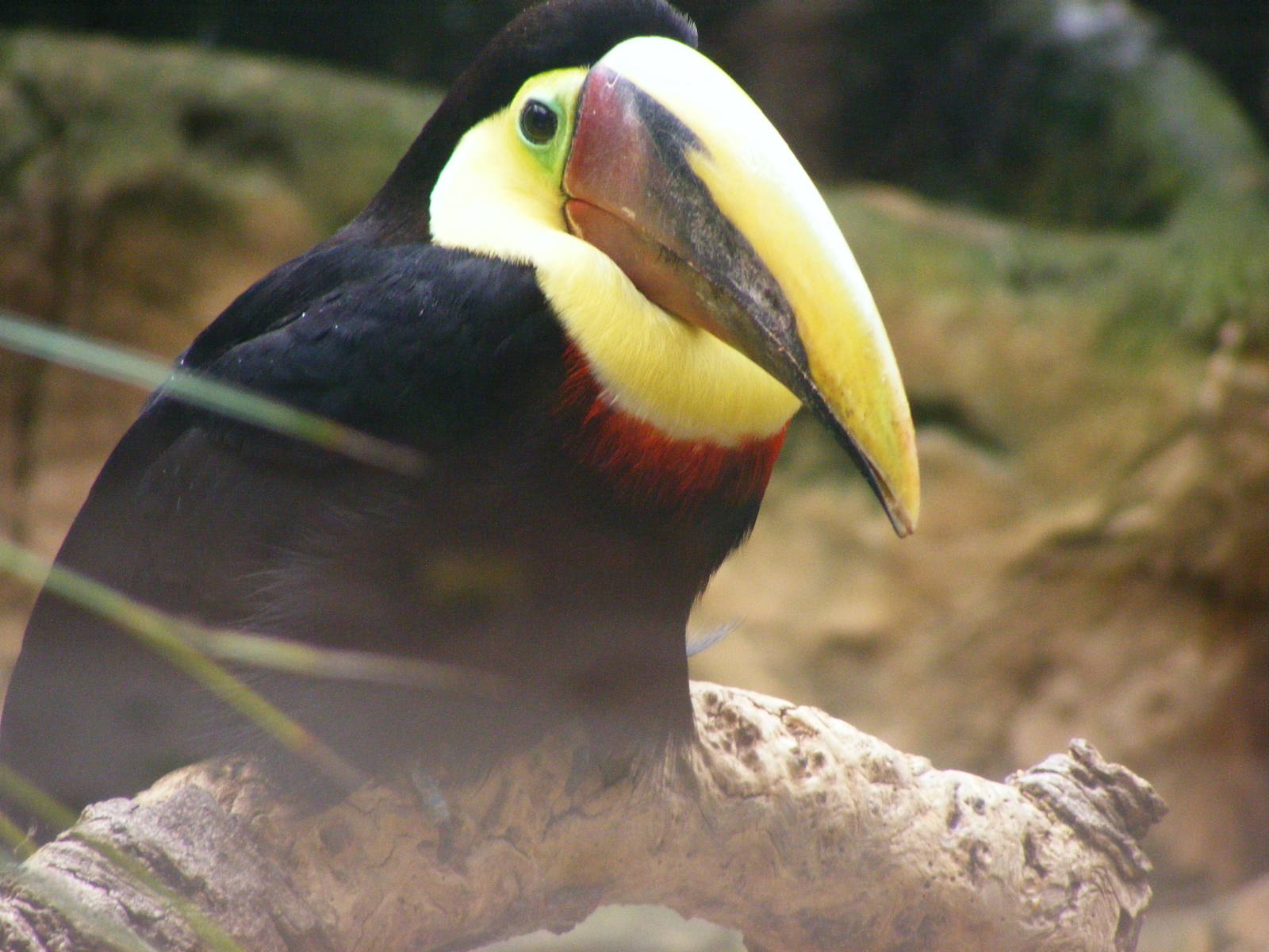 Safari Zoological Center 30.1.10
