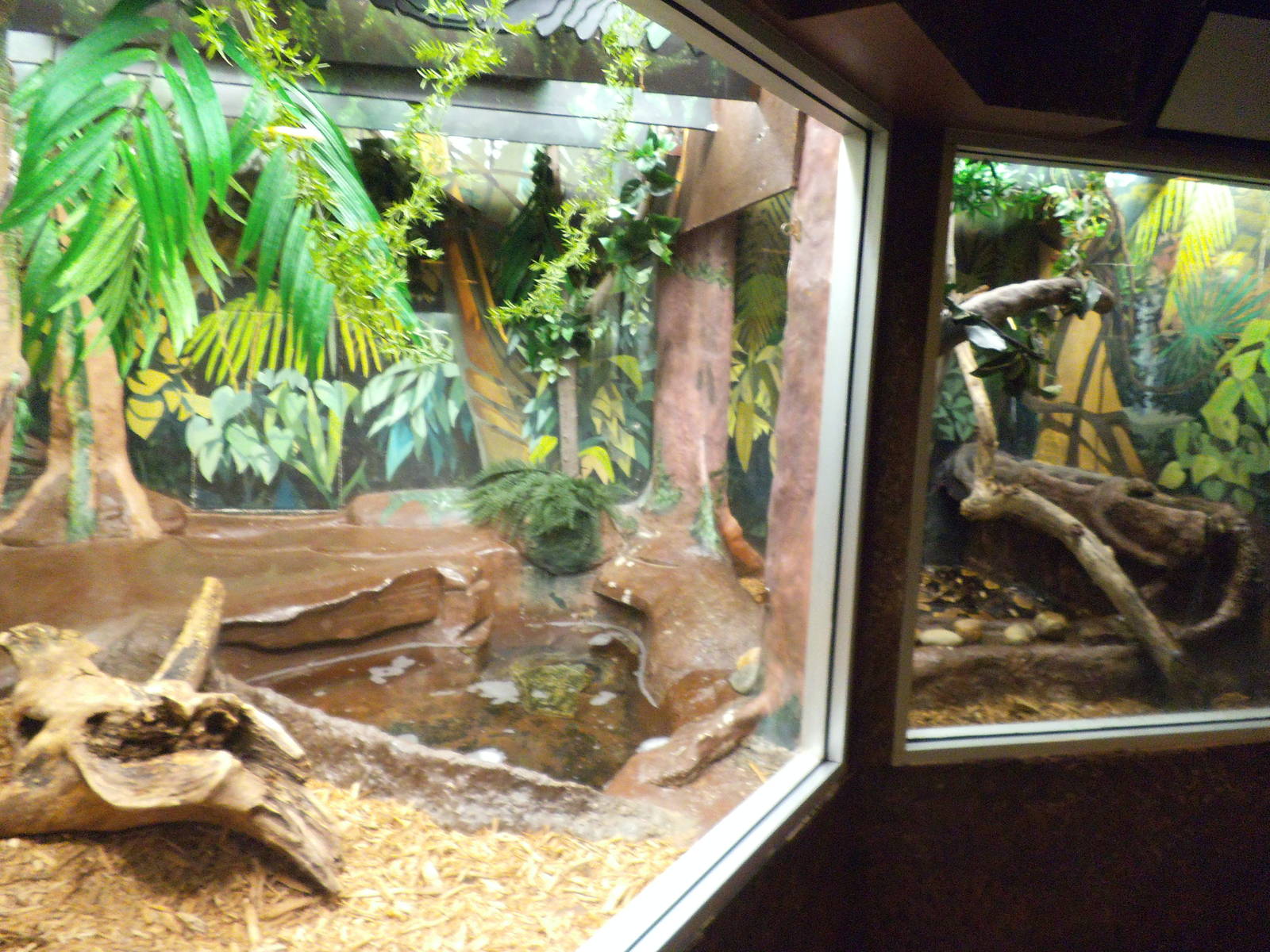 Safari's 2014 JBZ Trip