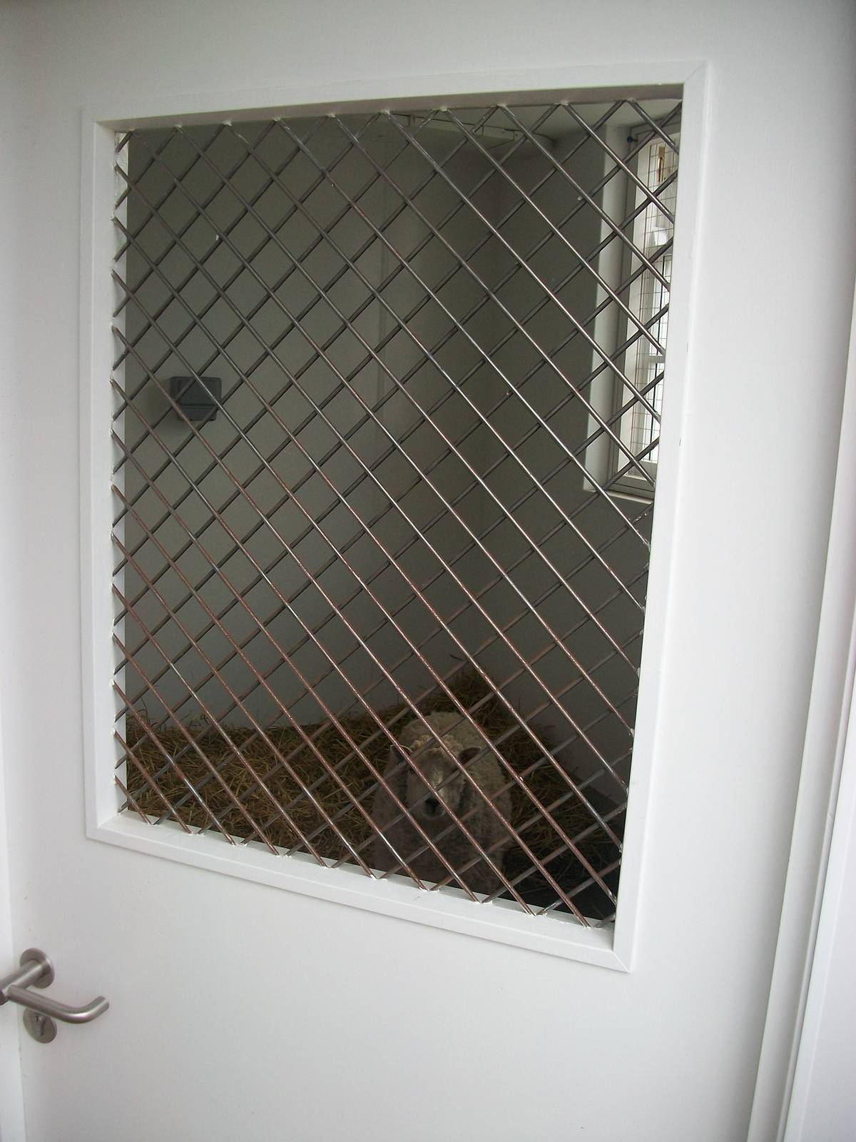 Safe for the night, 13th April 2014