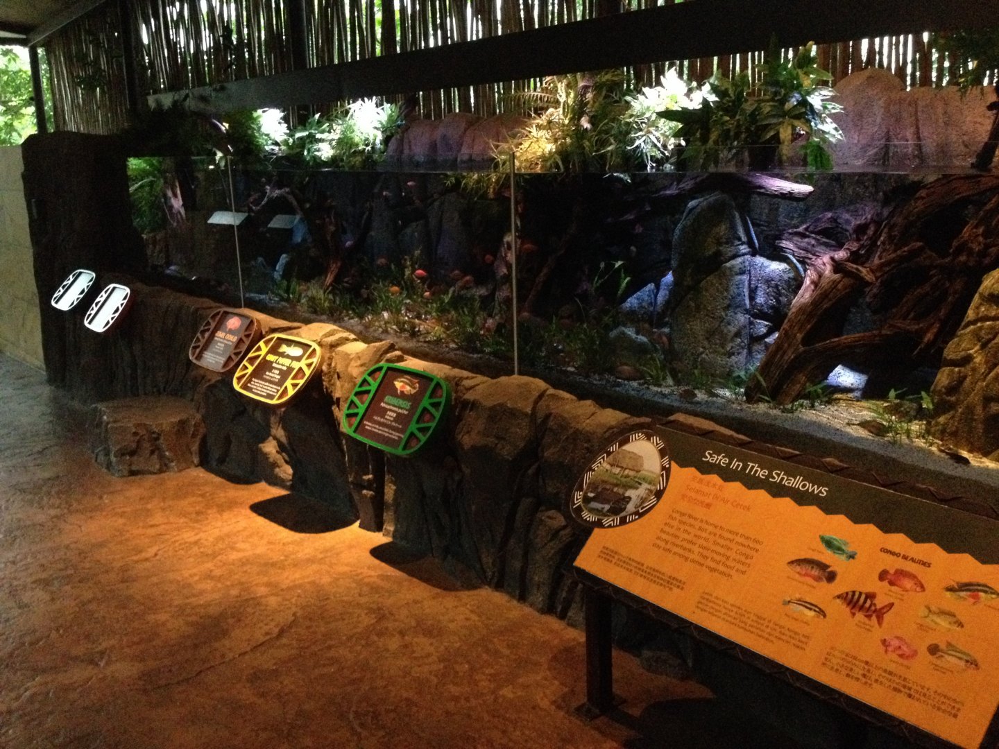 "Safe in the Shallows" tank