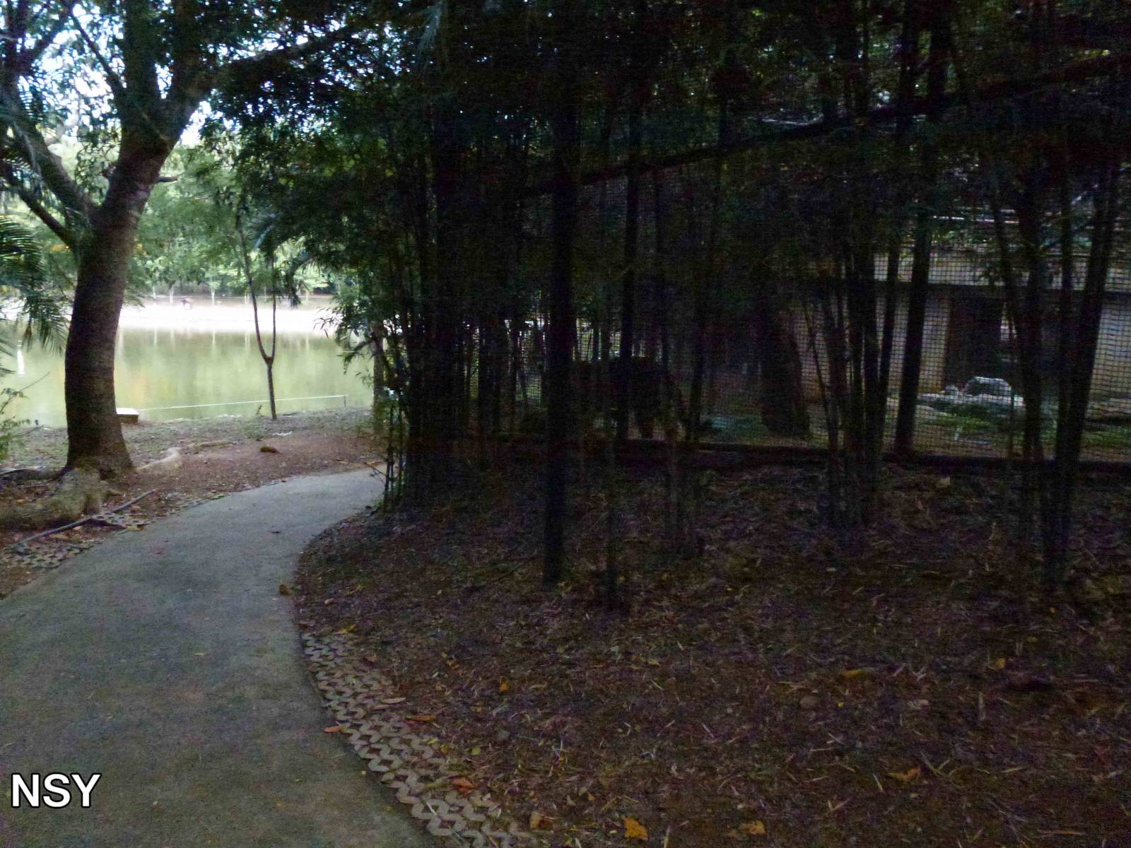 Safety first, June 2013.