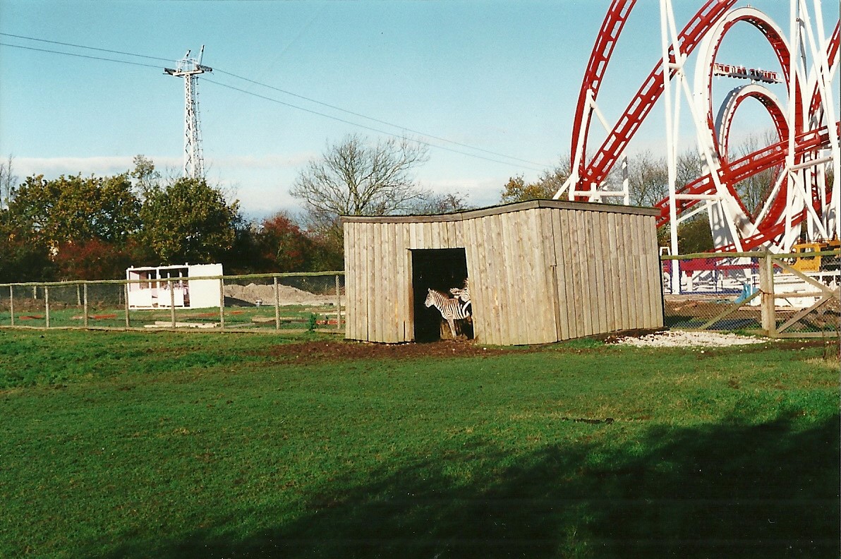 Sagging Zebra shelter? 6th November 1999