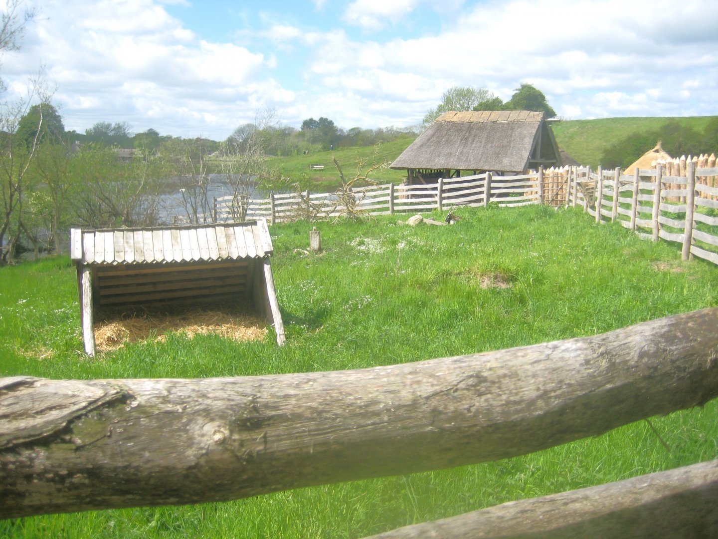 Sagnlandet Lejre - Buck pen