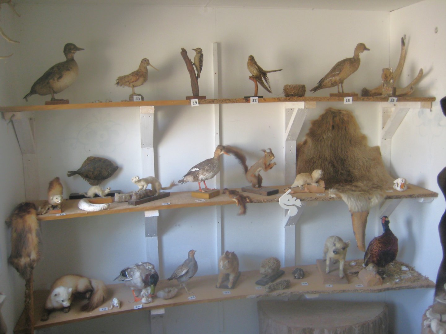 Sagnlandet Lejre - Exhibition house