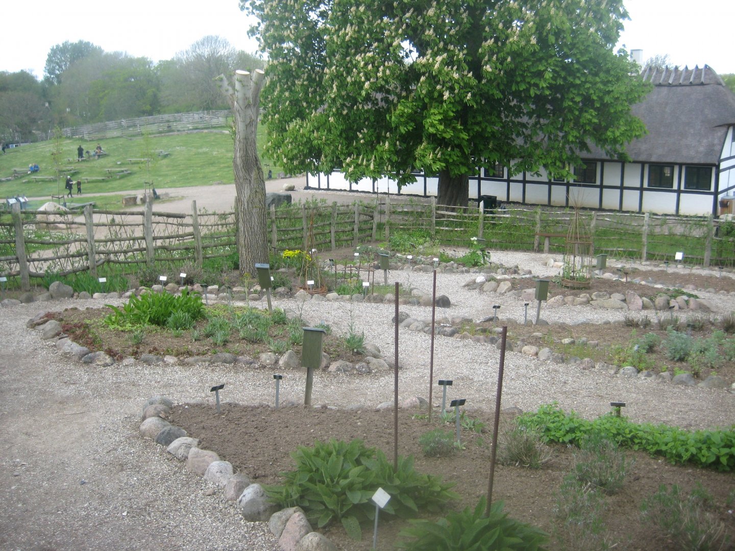 Sagnlandet Lejre - Medieval herb garden