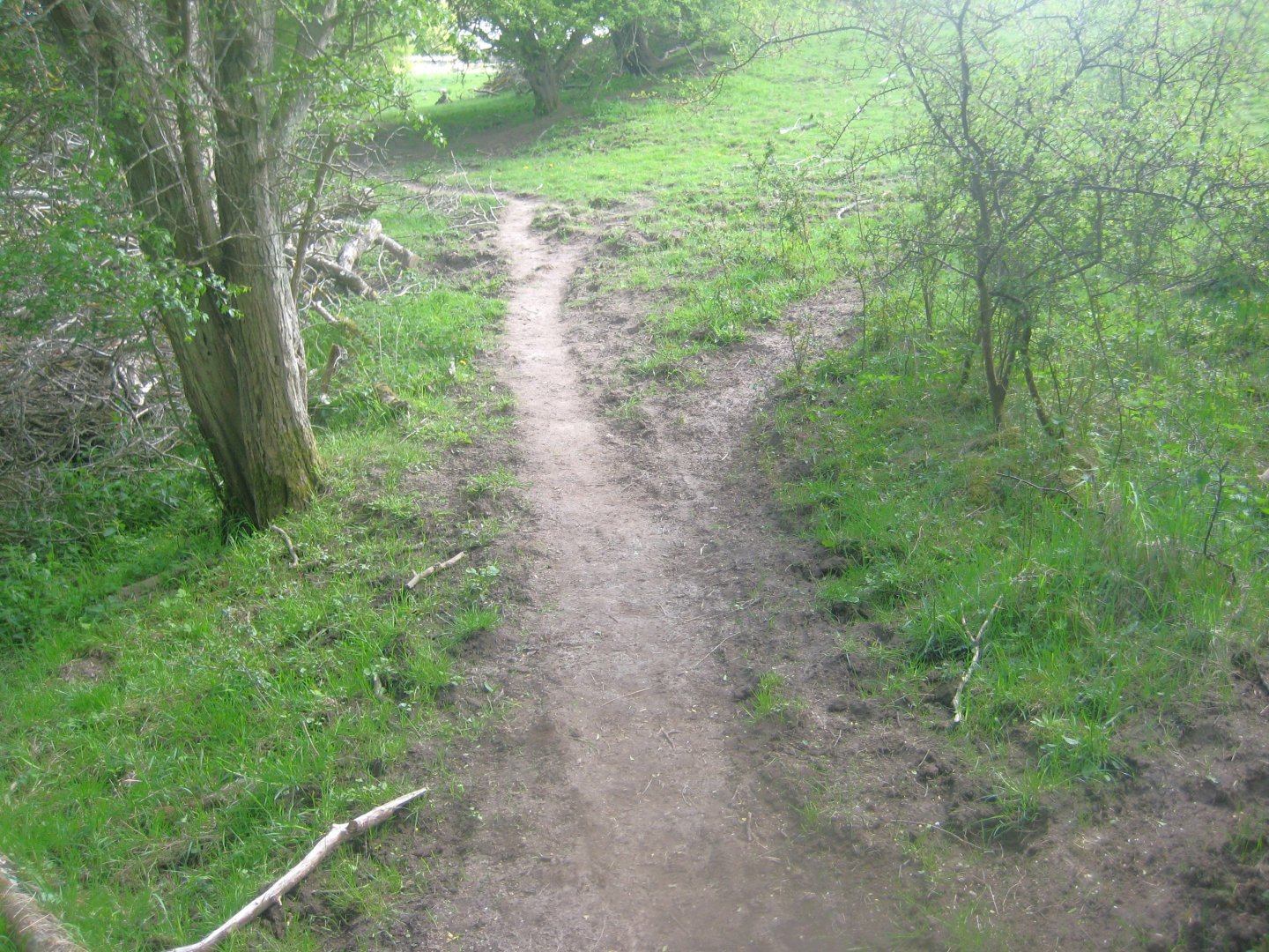 Sagnlandet Lejre - Nature trail