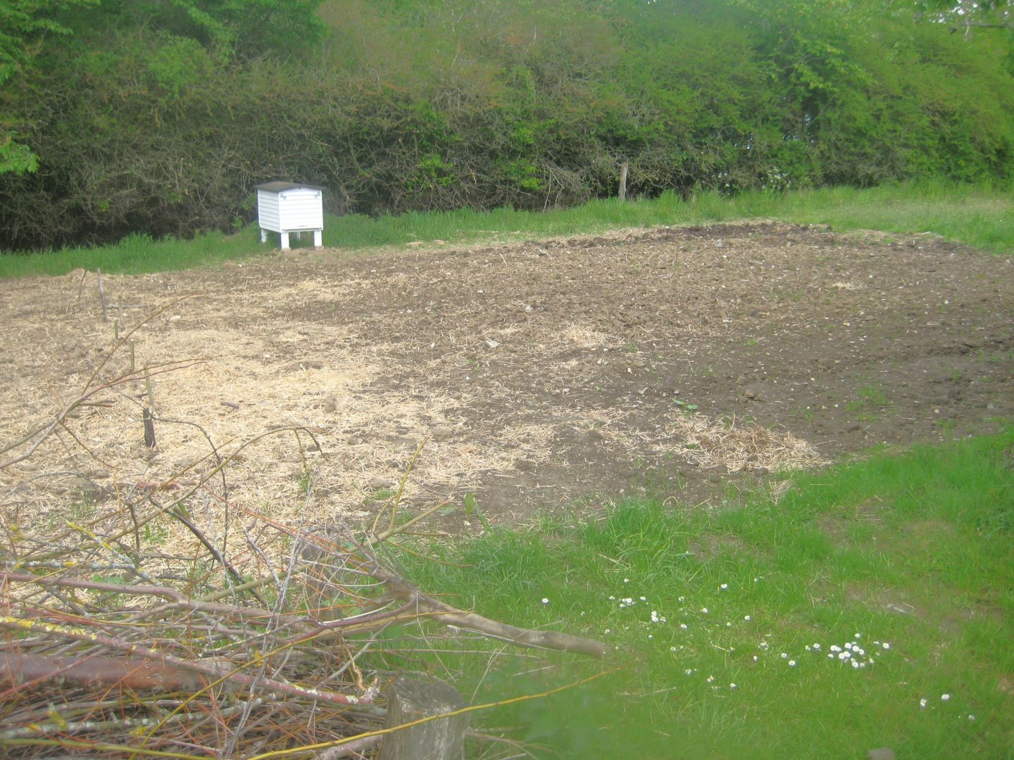 Sagnlandet Lejre - Smallholding area - Field and beehive