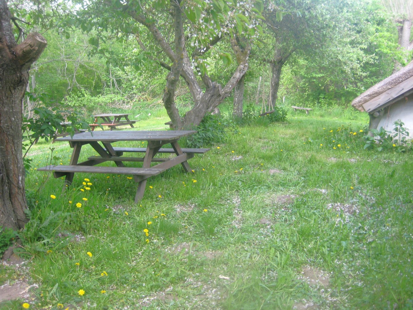 Sagnlandet Lejre - Smallholding area