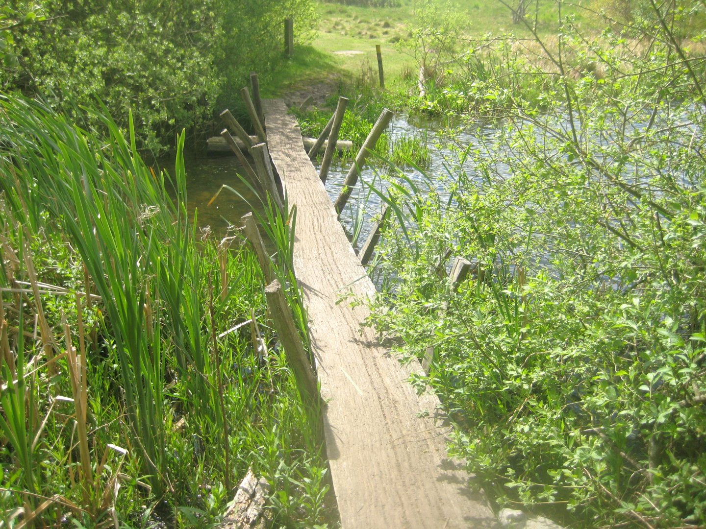 Sagnlandet Lejre - Stone Age-inspired bridge