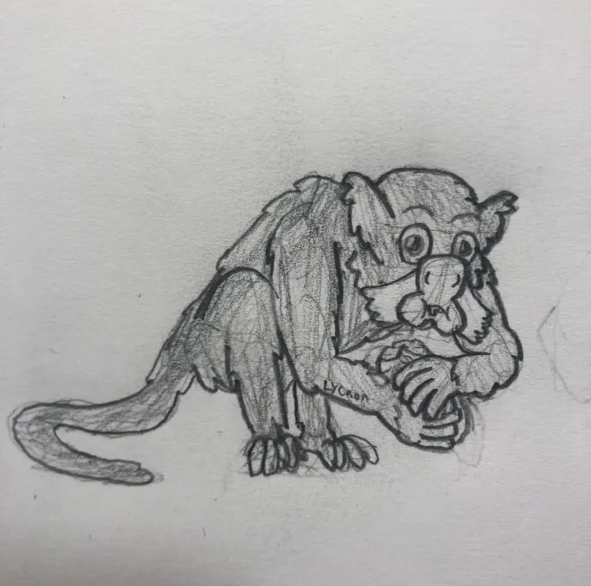 Saguinus mystax (Moustached Tamarin)