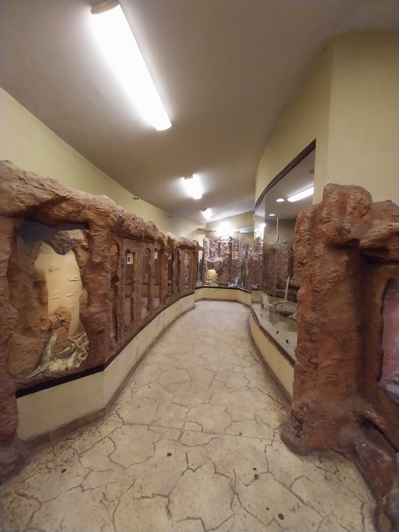 Sahara House - General view rodent section