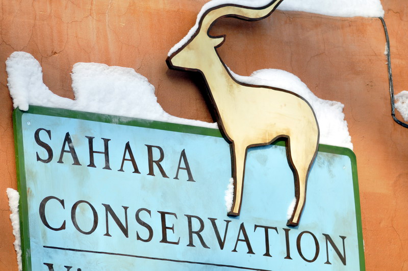Sahara-Sign at Hannover zoo