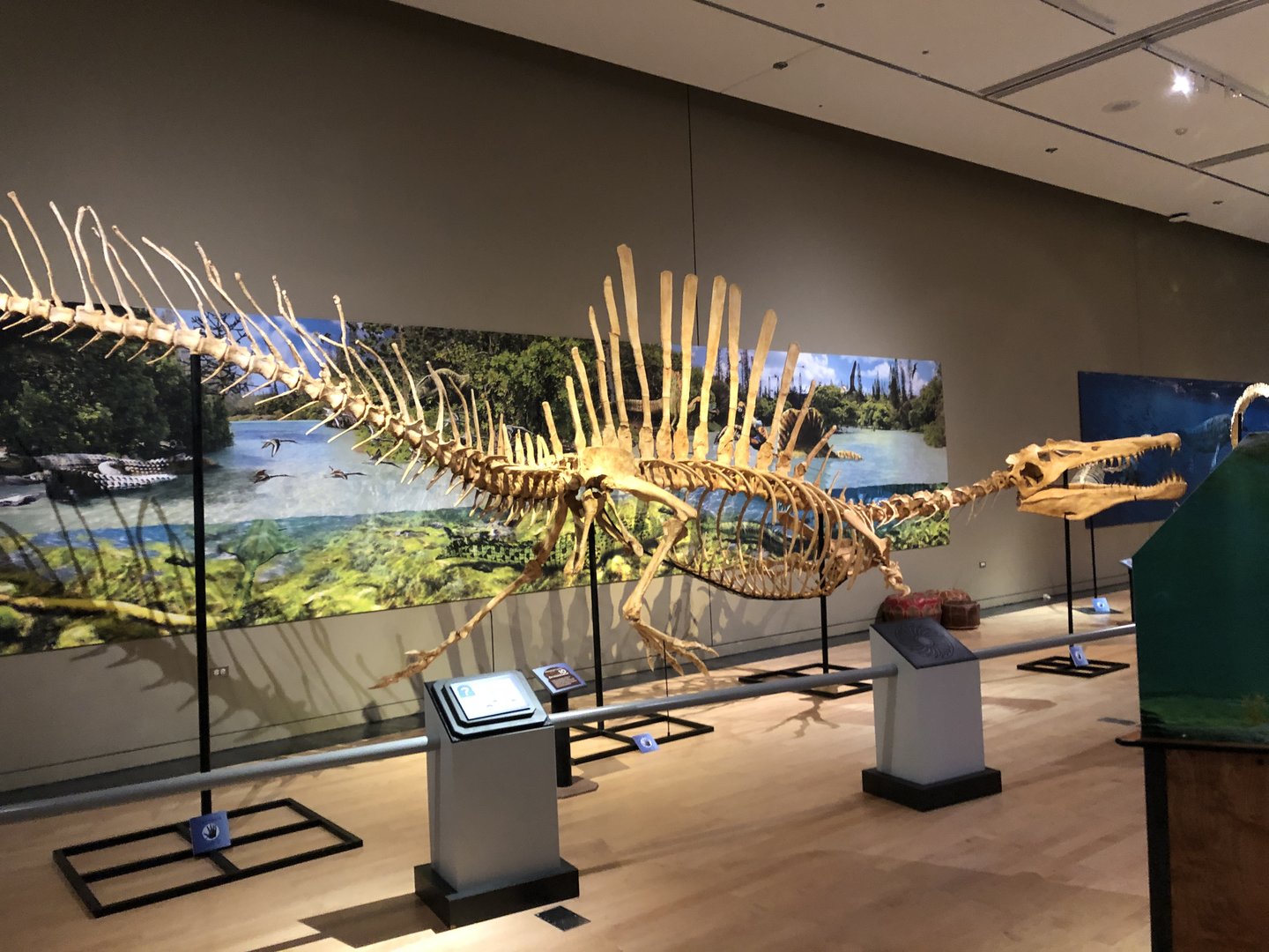 Saharan Sea Monsters