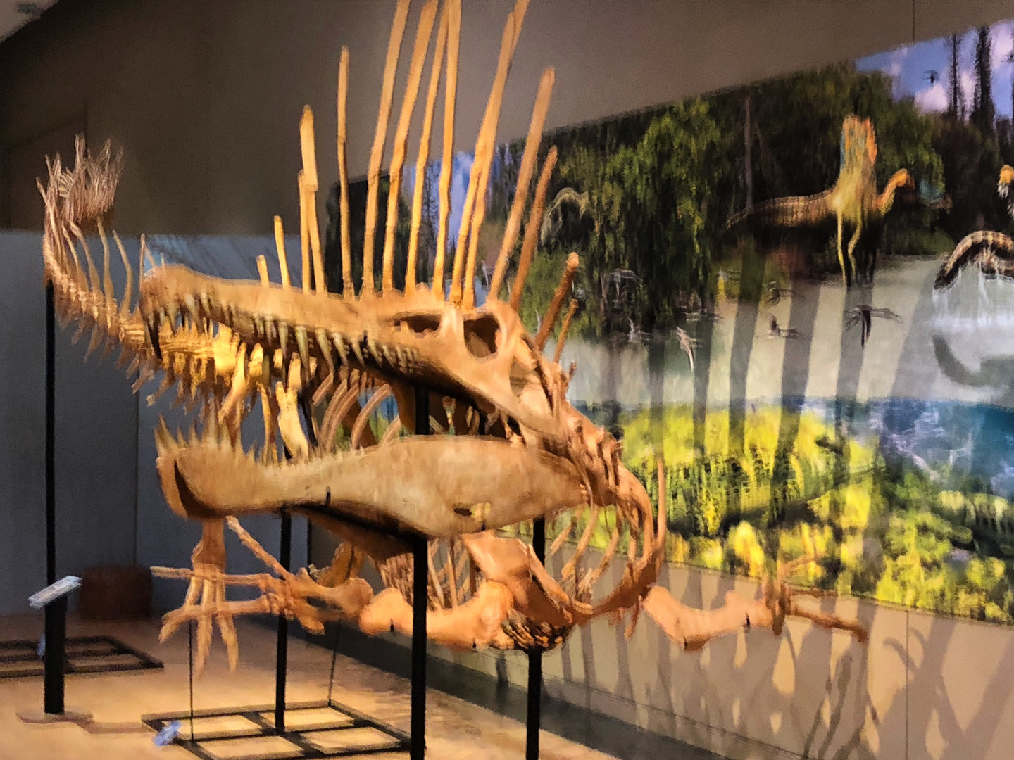 Saharan Sea Monsters