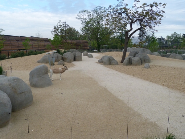 Sahel; Addax paddock