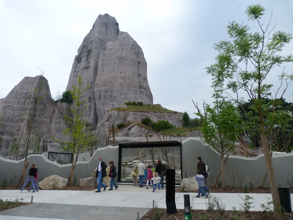 Sahel; Baboon viewing