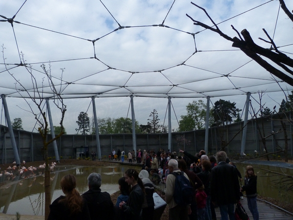 Sahel; Great Aviary interior