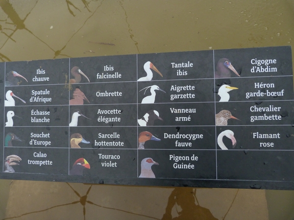 Sahel; Great Aviary Signage