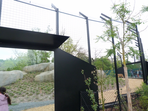 Sahel; lion enclosure