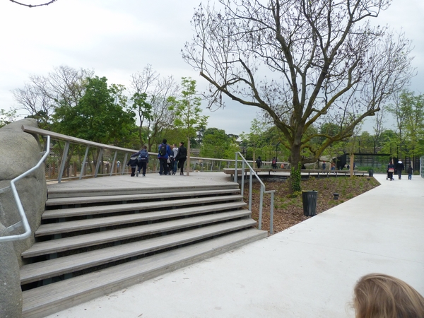 Sahel - Rhino Observation