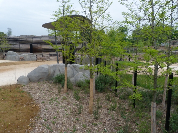 Sahel; Savannah and seperation