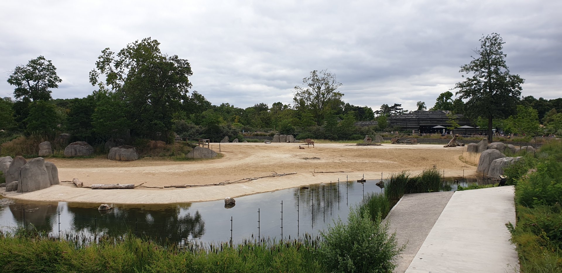 Sahel-Sudan Savannah