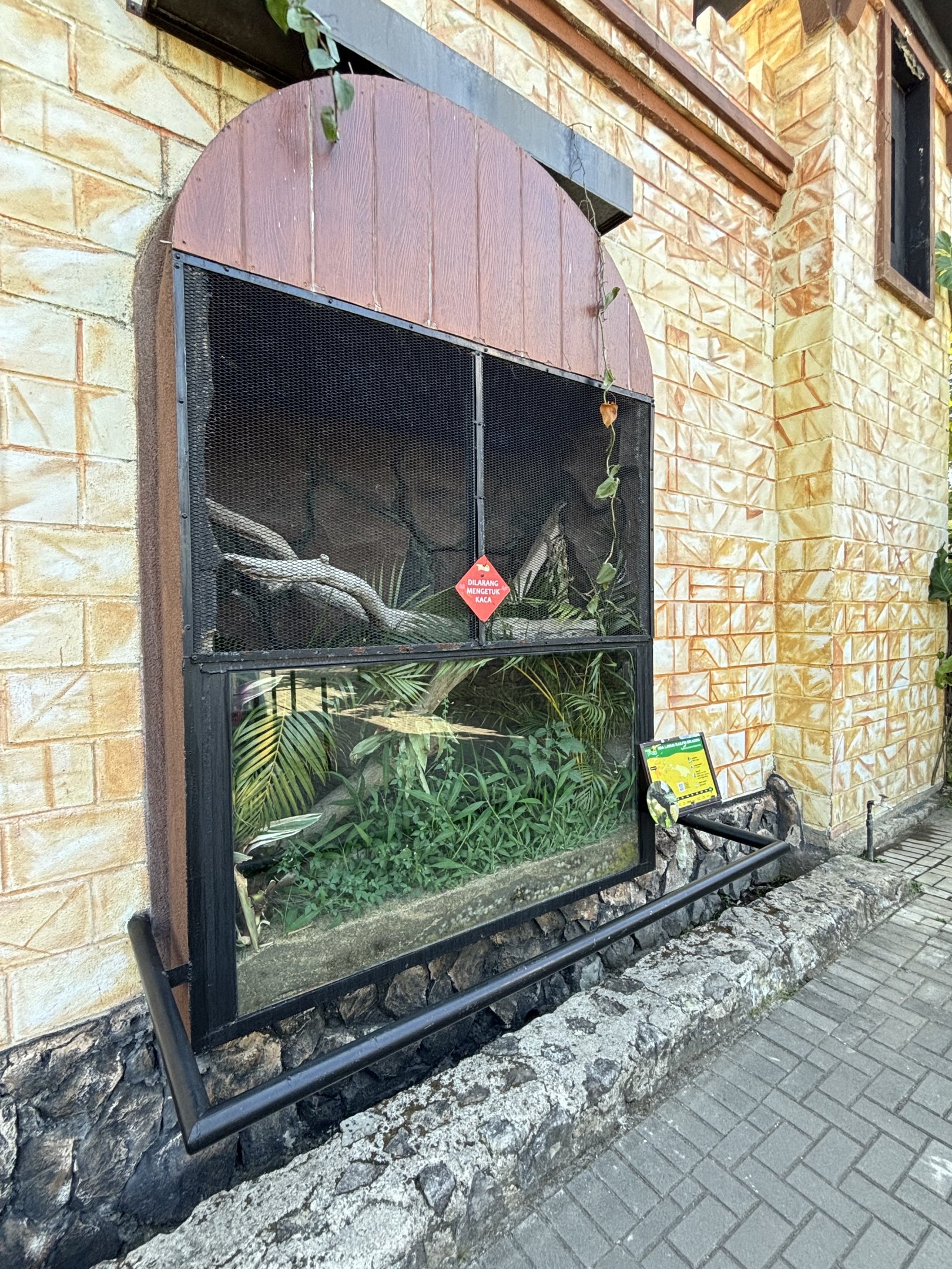 Sailfin Dragon Exhibit