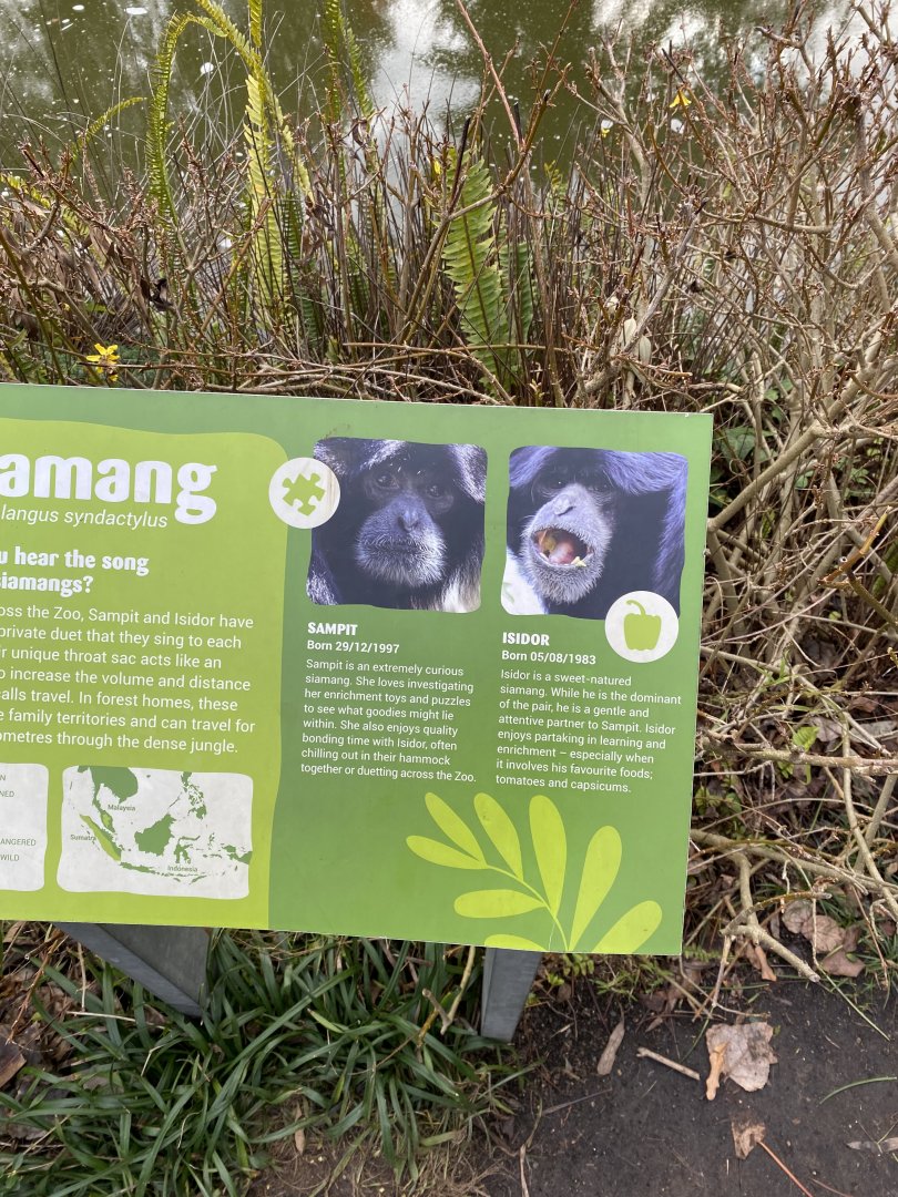 Saimang Signage