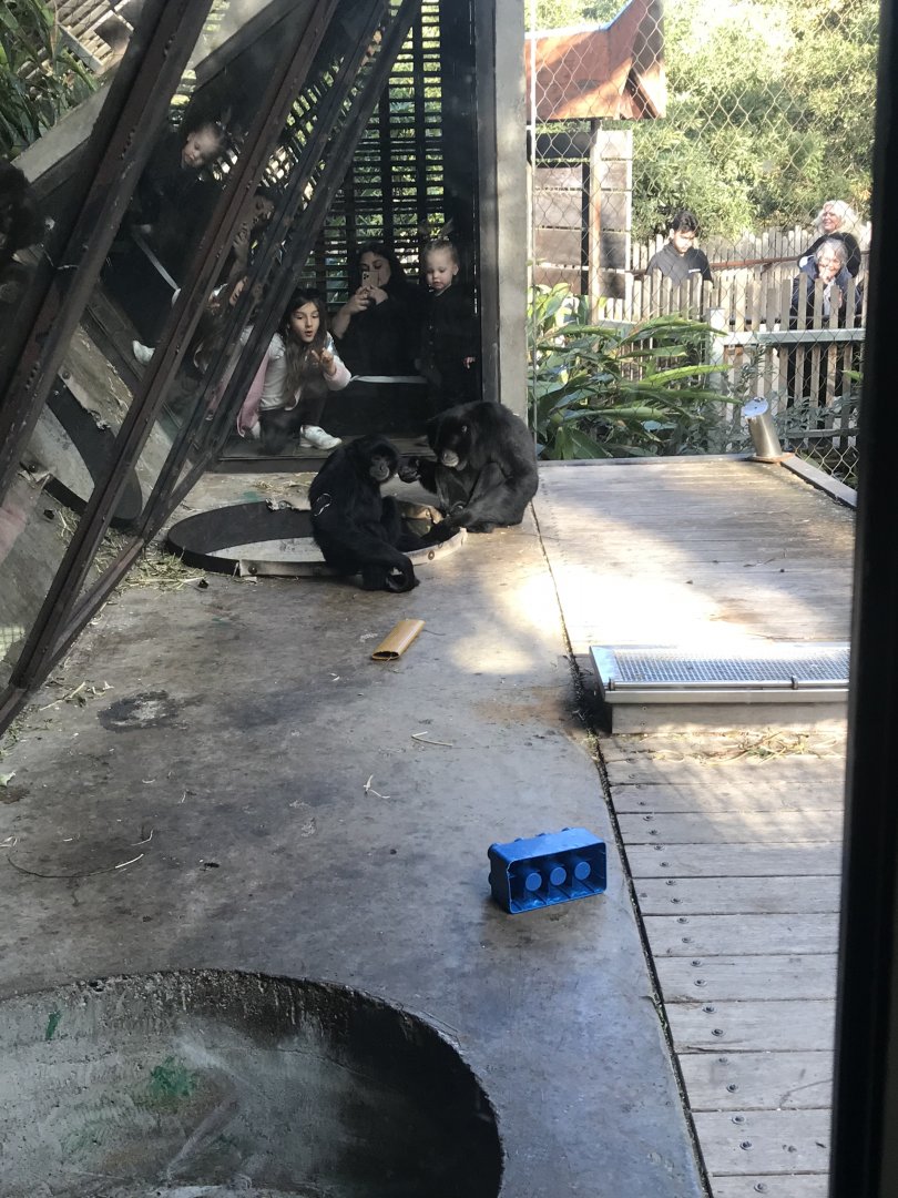 Saimangs- Isidor and Kemala