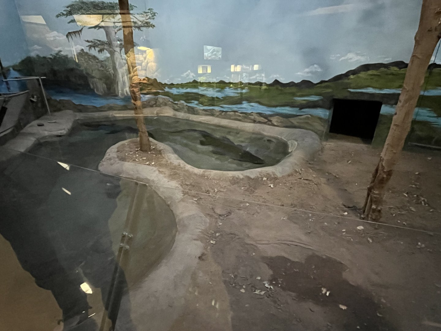 Saimese crocodile winter exhibit