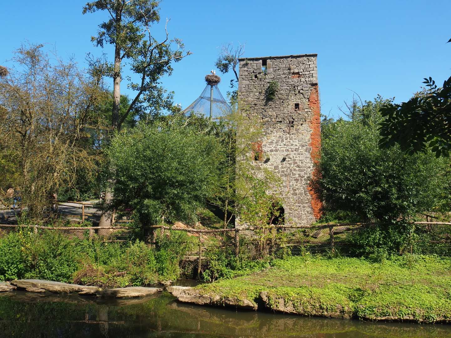 Saint Bernard Tower and Former swan exhibit, now connected to the South American exhibit, 2021-09-03