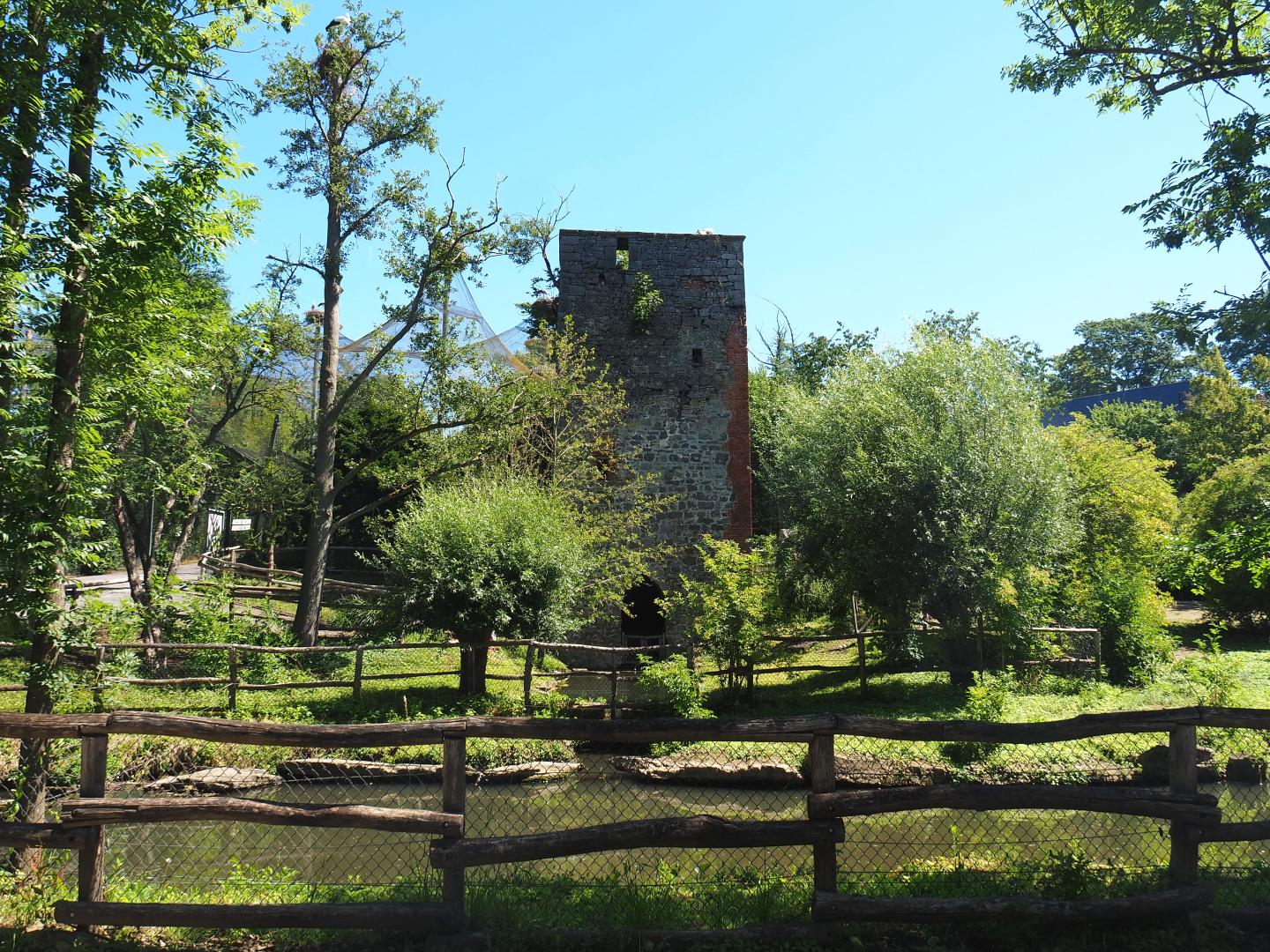 Saint Bernard Tower and part of the South American exhibit, 2022-06-28